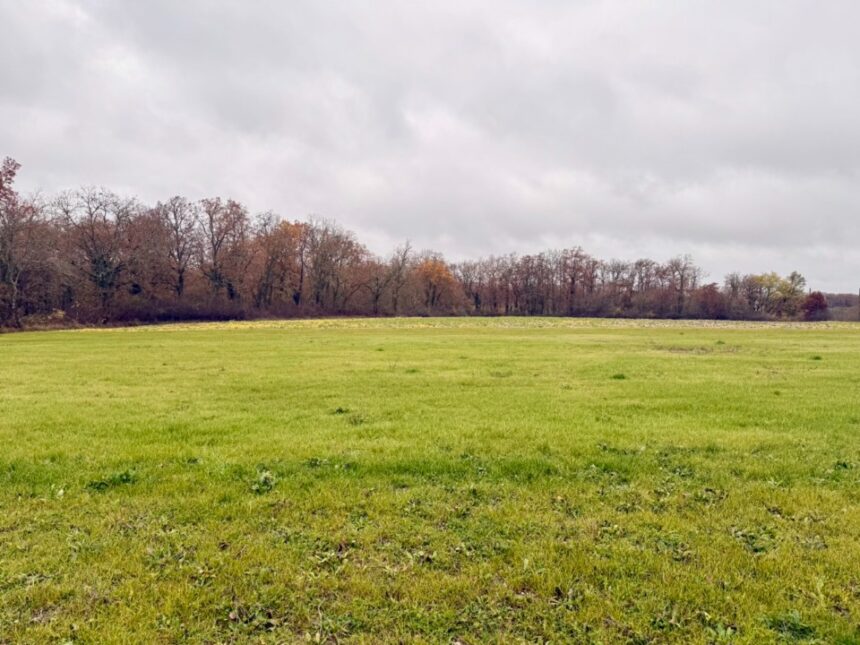 Maison à construire à Ribagnac (24240)