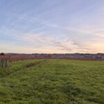 Terrain à bâtir à Saint-Laurent-des-Vignes (24100)