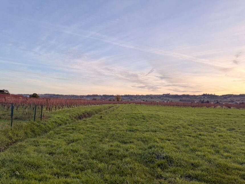 Maison à construire à Saint-Laurent-des-Vignes (24100)