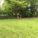 Terrain à bâtir à Louchats (33125)