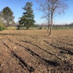 Terrain à bâtir à Gastes (40160)