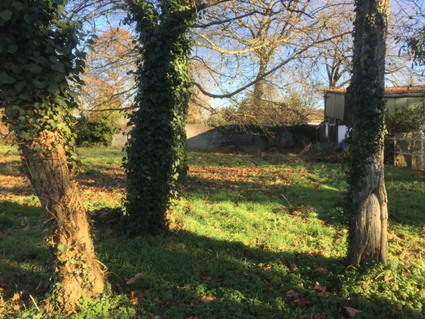 Terrain à bâtir à Castres-Gironde (33640)