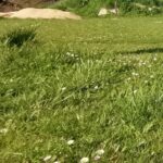 Maison à construire à Périgueux (24000)