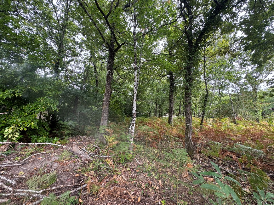 Terrain à bâtir à Grayan-et-l’Hôpital (33590)