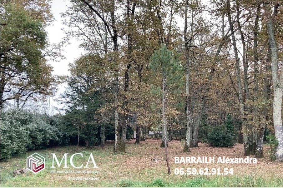 Terrain à bâtir à Le Taillan-Médoc (33320)