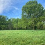 Terrain à bâtir à Vensac (33590)