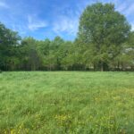 Terrain à bâtir à Vensac (33590)