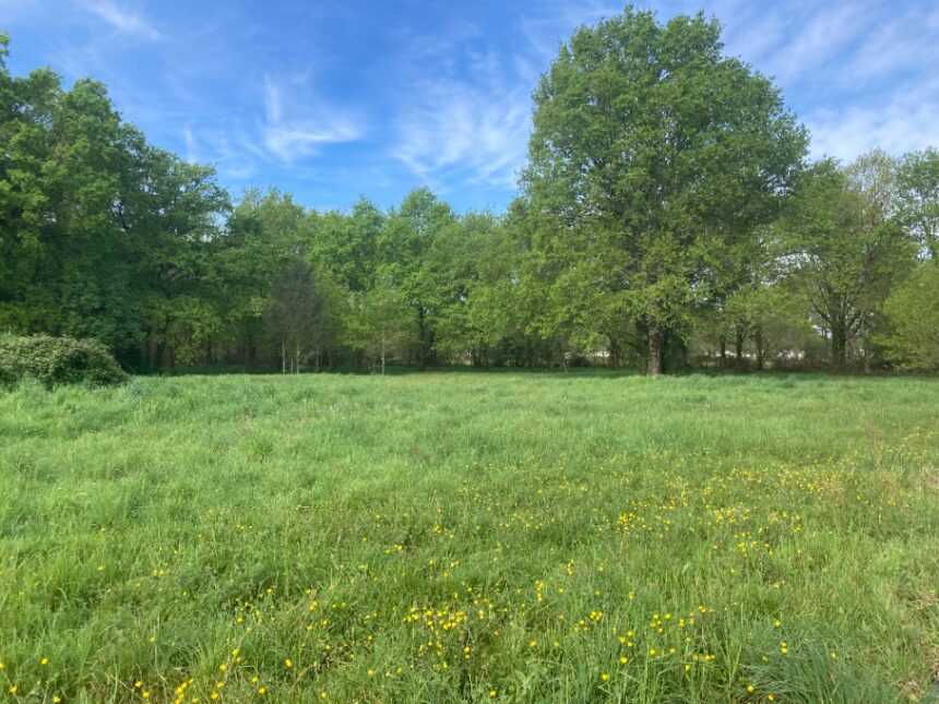 Maison à construire à Vensac (33590)