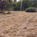 Terrain à bâtir à Saint-Vivien-de-Médoc (33590)