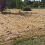 Terrain à bâtir à Saint-Vivien-de-Médoc (33590)