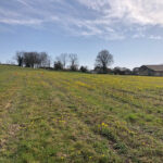 Maison à construire à Camblanes-et-Meynac (33360)