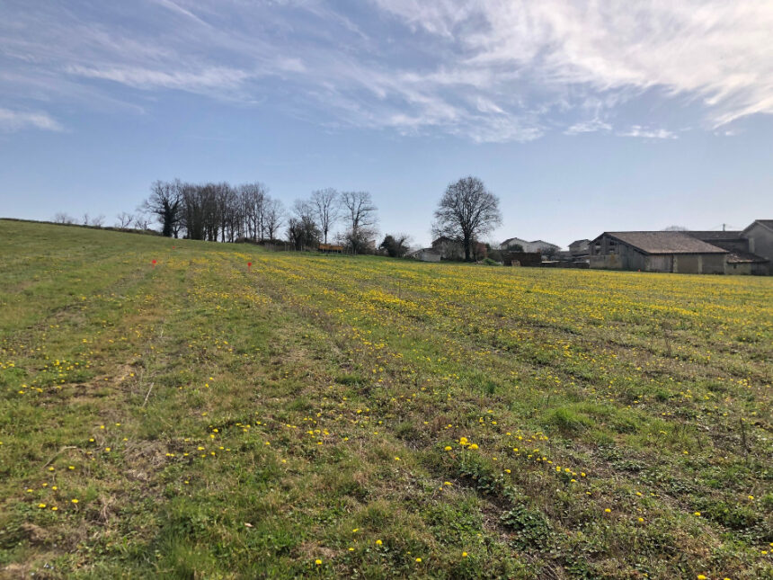 Maison à construire à Camblanes-et-Meynac (33360)