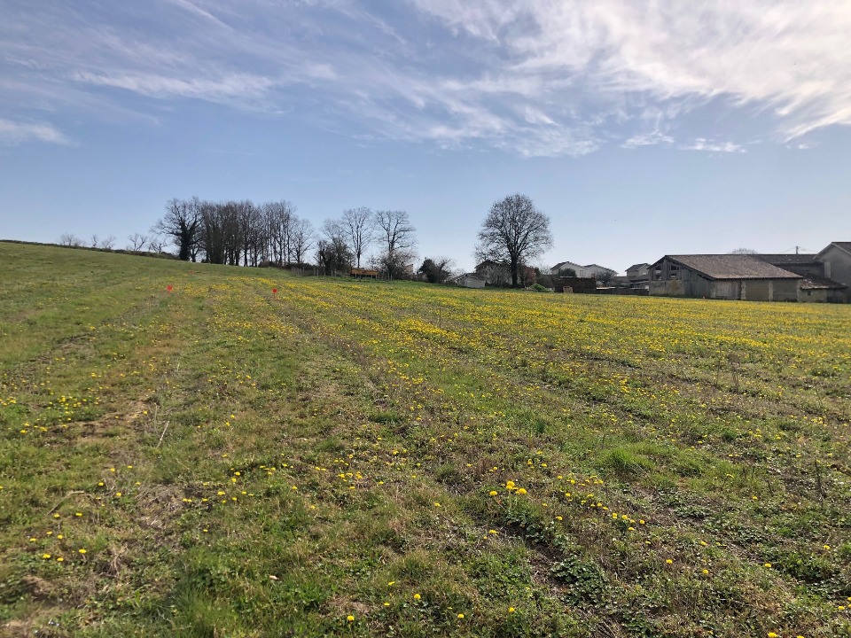 Terrain à bâtir à Camblanes-et-Meynac (33360)