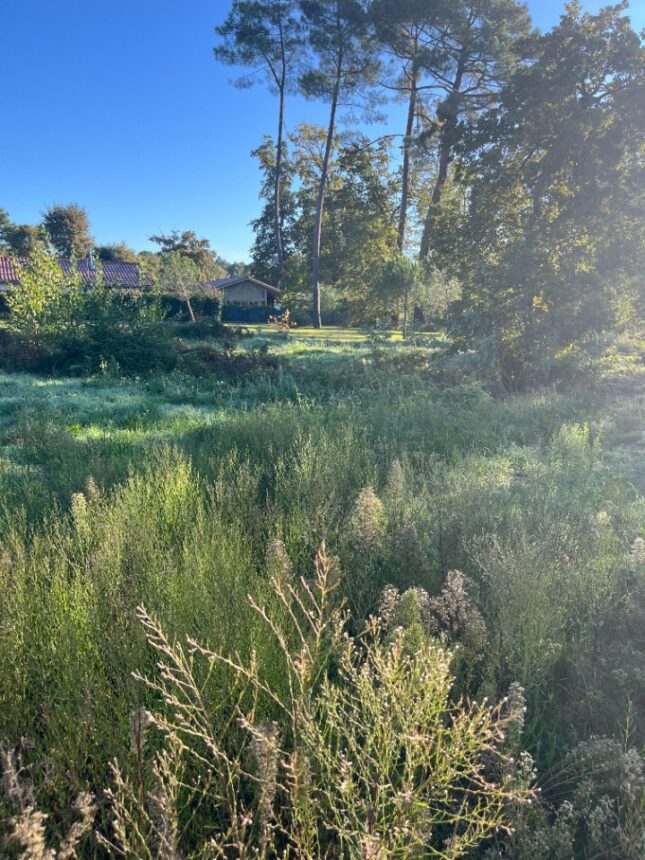 Maison à construire à Cestas (33610)