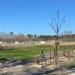 Maison à construire à Le Taillan-Médoc (33320)