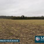 Terrain à bâtir à Mimbaste (40350)