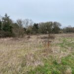 Terrain à bâtir à Pont-l’Abbé-d’Arnoult (17250)