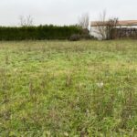 Terrain à bâtir à Champagne (17620)