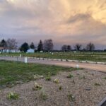 Terrain à bâtir à Corme-Royal (17600)