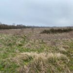 Maison à construire à Pont-l’Abbé-d’Arnoult (17250)