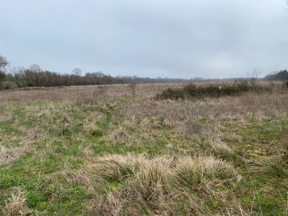 Terrain à bâtir à Pont-l’Abbé-d’Arnoult (17250)