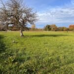 Maison à construire à Sainte-Florence (33350)