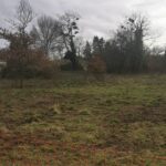 Maison à construire à Noaillan (33730)