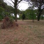 Maison à construire à Langon (33210)