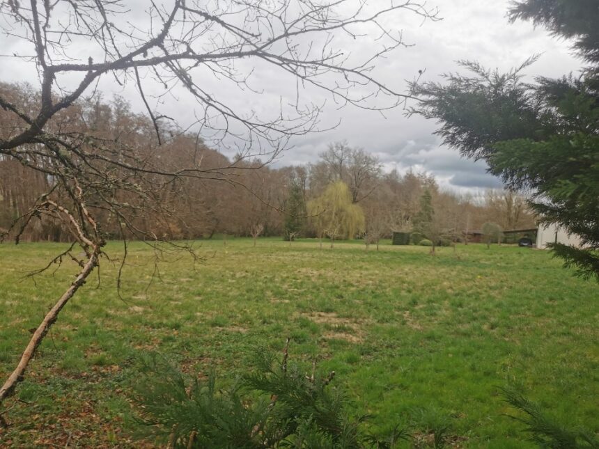 Terrain à bâtir à Lignan-de-Bazas (33430)