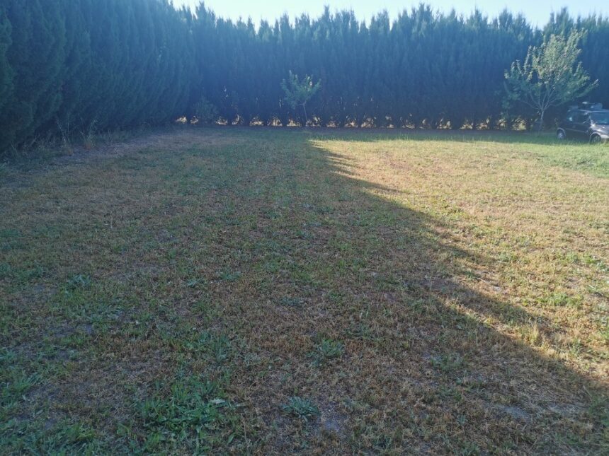 Terrain à bâtir à Toulenne (33210)