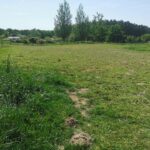 Maison à construire à Coimères (33210)