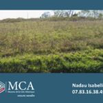 Maison à construire à Cartelègue (33390)