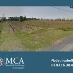 Maison à construire à Saint-Savin (33920)