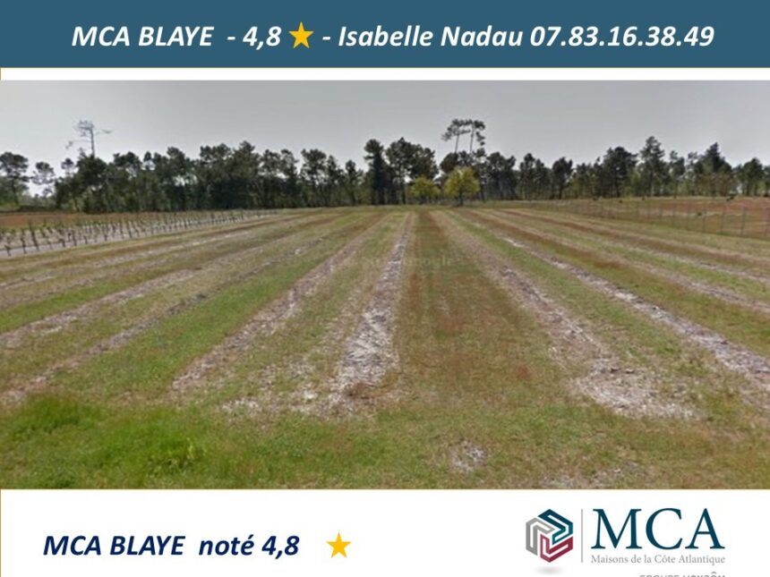 Maison à construire à Saint-Savin (33920)