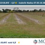 Maison à construire à Saint-Savin (33920)