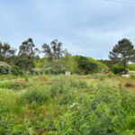 Terrain à bâtir à Mimizan (40200)