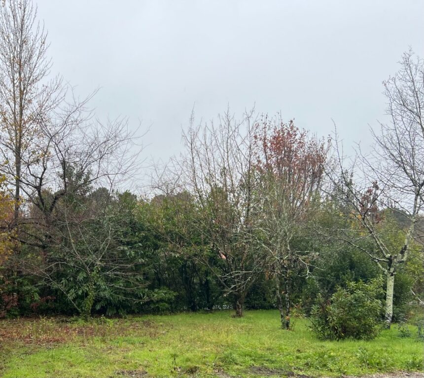 Terrain à bâtir à Ambarès-et-Lagrave (33440)