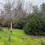 Maison à construire à Eysines (33320)