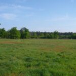 Maison à construire à Ambarès-et-Lagrave (33440)