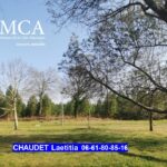 Maison à construire à Sanguinet (40460)