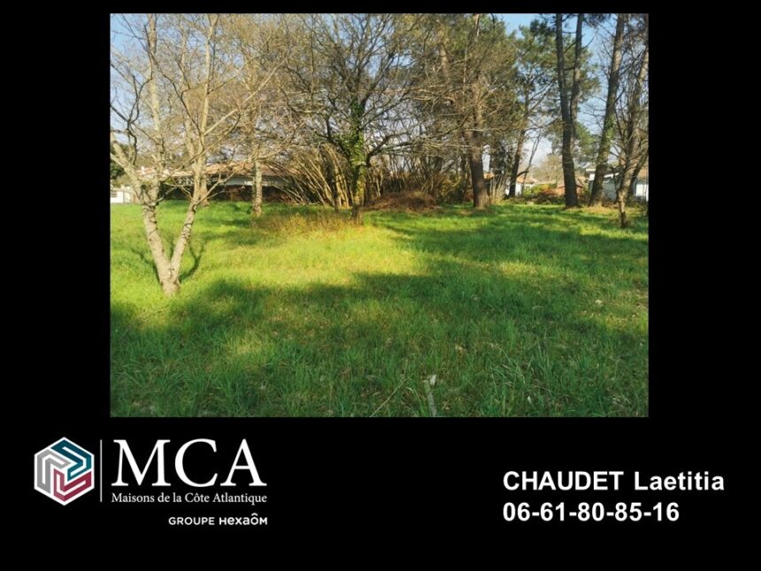 Terrain à bâtir à Belin-Béliet (33830)