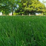 Maison à construire à Gujan-Mestras (33470)