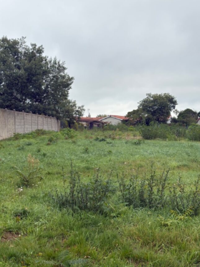 Terrain à bâtir à Villegouge (33141)