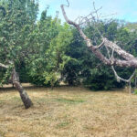 Terrain à bâtir à Montpon-Ménestérol (24700)