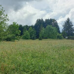 Terrain à bâtir à Montpon-Ménestérol (24700)