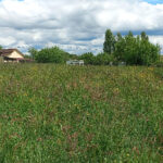 Terrain à bâtir à Montpon-Ménestérol (24700)