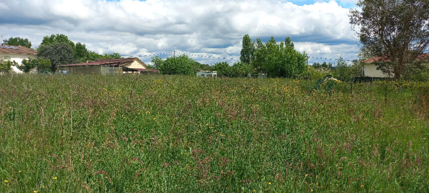Terrain à bâtir à Montpon-Ménestérol (24700)