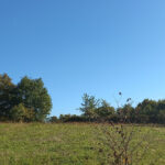 Terrain à bâtir à Montpon-Ménestérol (24700)