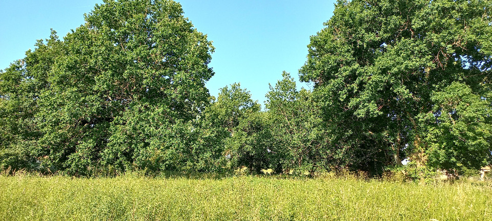 Terrain à bâtir à Montpon-Ménestérol (24700)