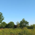 Terrain à bâtir à Montpon-Ménestérol (24700)